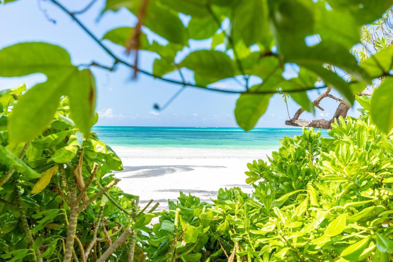 Surfescape Zanzibar Apartment Kiwengwa  Ngoại thất bức ảnh