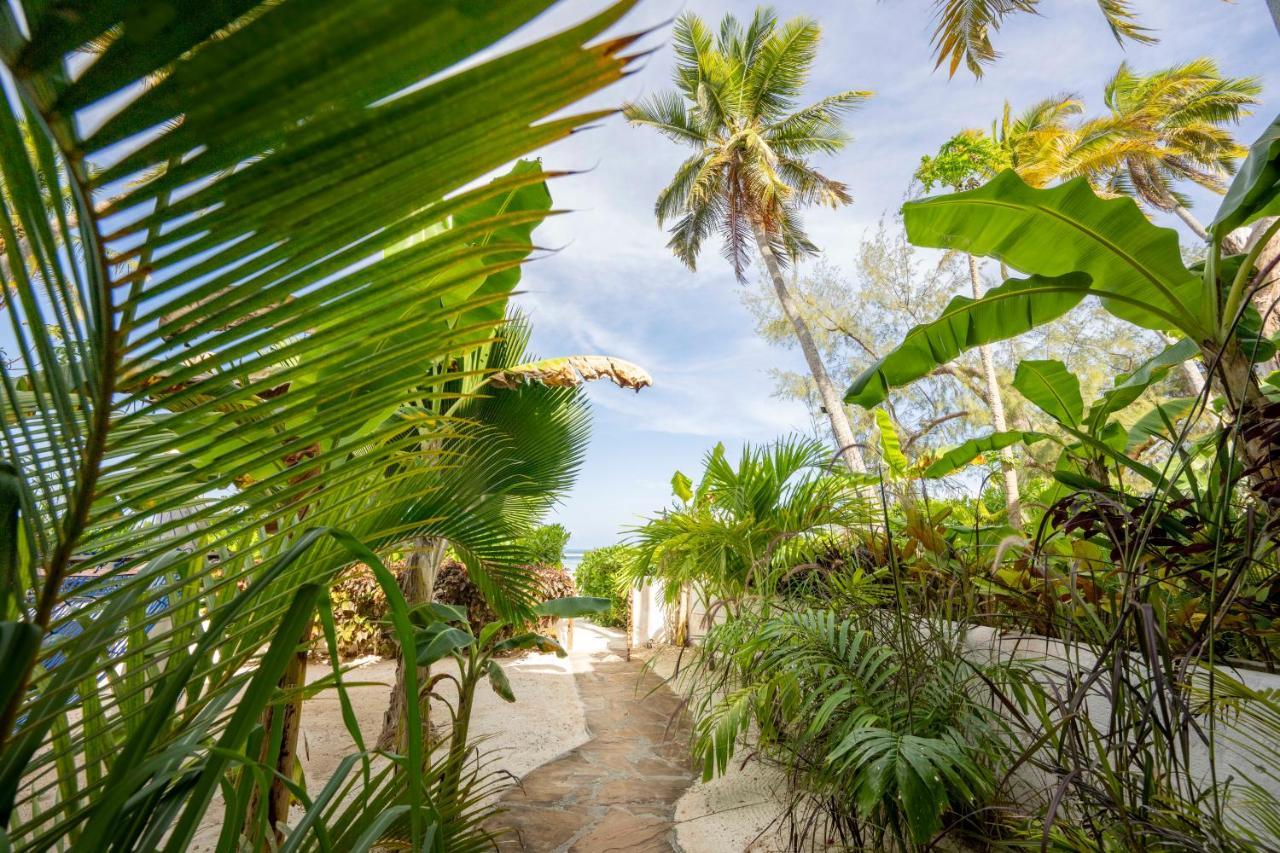 Surfescape Zanzibar Apartment Kiwengwa  Ngoại thất bức ảnh